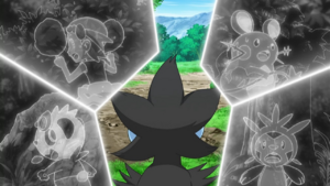 PokéTV extra scene XY102.png