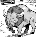 Red Tauros PM.png