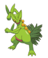 254Sceptile AG anime 2.png