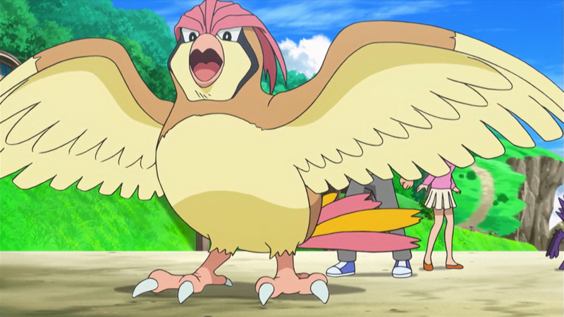 File:Pidgeotto anime.png