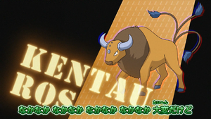 Tauros OPJ28.png