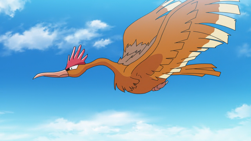File:Fearow anime.png