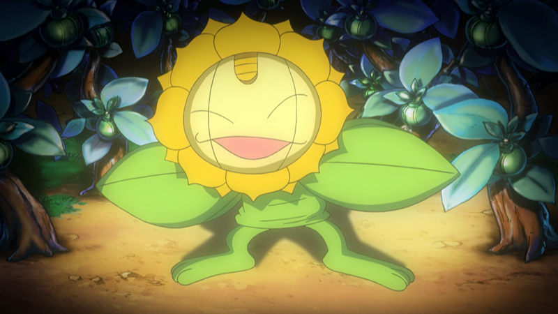 File:Meowth Sunflora.png