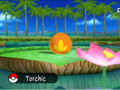 Torchic Egg Channel.png