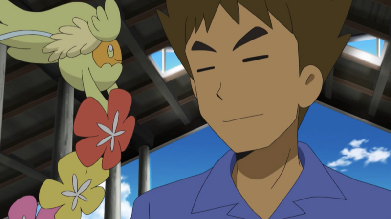 File:Brock and Comfey.png