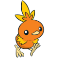 255Torchic WF.png