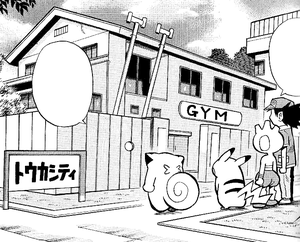 Petalburg Gym PMRS.png