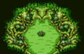 Transform Forest RTRB.png