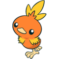 255Torchic Channel.png