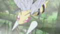 Beedrill anime.png