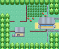 Kanto Route 7 FRLG.png