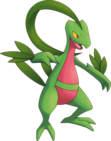 File:253Grovyle PMD Explorers.png