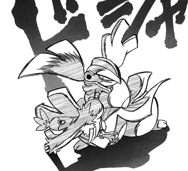 File:Chic Combusken Double Kick.png