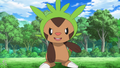 Clemont Chespin.png