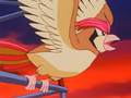 Ash Pidgeotto towing balloon.png