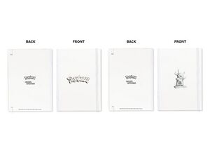 Daniel Arsham Pokémon Merch notebooks.jpg