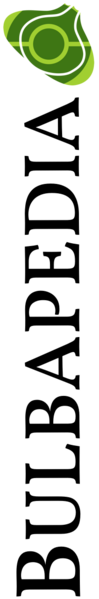 File:Bulbapedia Logo Vertical.png