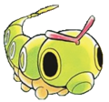 Kitty Caterpie.png