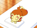 Chimchar flameless.png