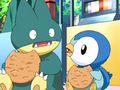 May Munchlax Dawn Piplup.png