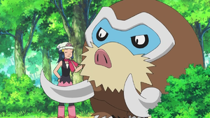 Dawn and Mamoswine.png