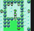 Yellow Pikachu tree Cooltrainer glitch.png