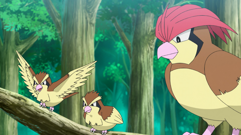 File:Viridian Forest Pidgey Pidgeotto.png