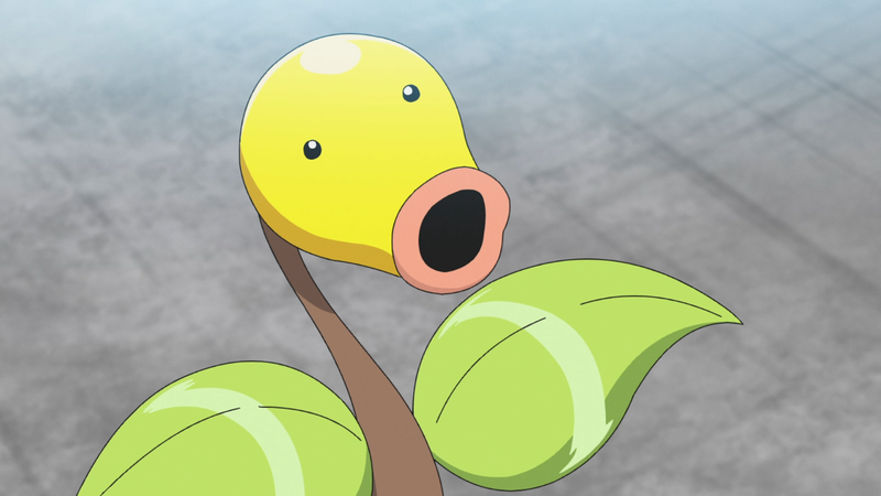 File:Goh Bellsprout.png