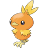 255Torchic.png