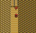 Tin Tower roof GS.png