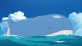 Wailord anime.png