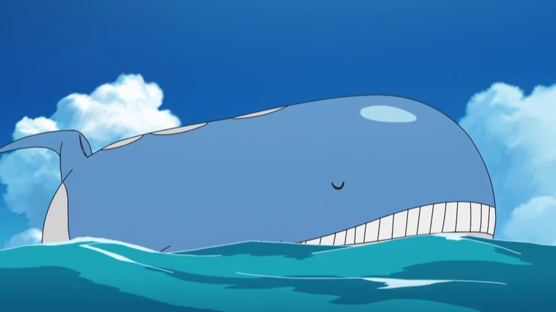 File:Wailord anime.png