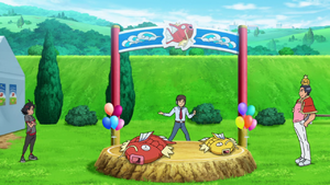Magikarp High Jump Competition.png