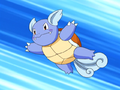 May Wartortle.png