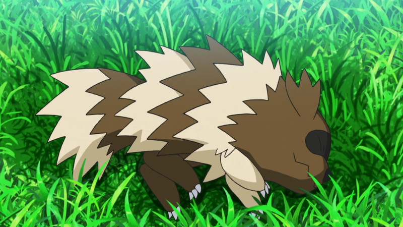 File:Zigzagoon anime.png