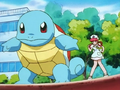 PLEEI Squirtle.png