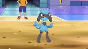 Cameron Riolu.png