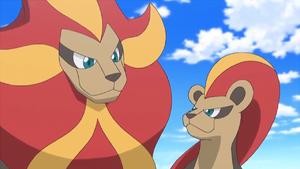 Pyroar gender difference anime.png