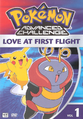 Love at First Flight DVD.png
