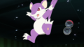 Red Rattata PO.png