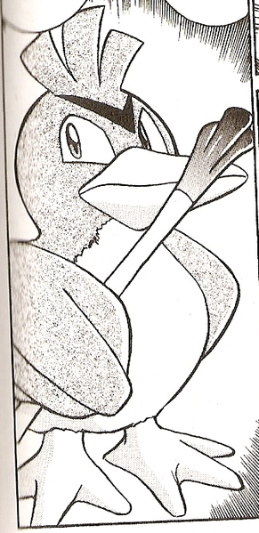 File:Ryoma Farfetch'd.png
