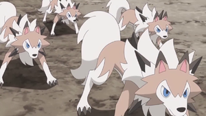 Olivia Lycanroc Double Team.png