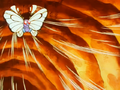 Ash Butterfree Whirlwind.png