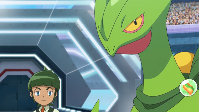 File:Sawyer and Sceptile.png