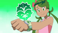 Mallow and Z-Ring.png