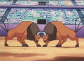 Rock and Tumble One-on-One Tauros Competition battle.png