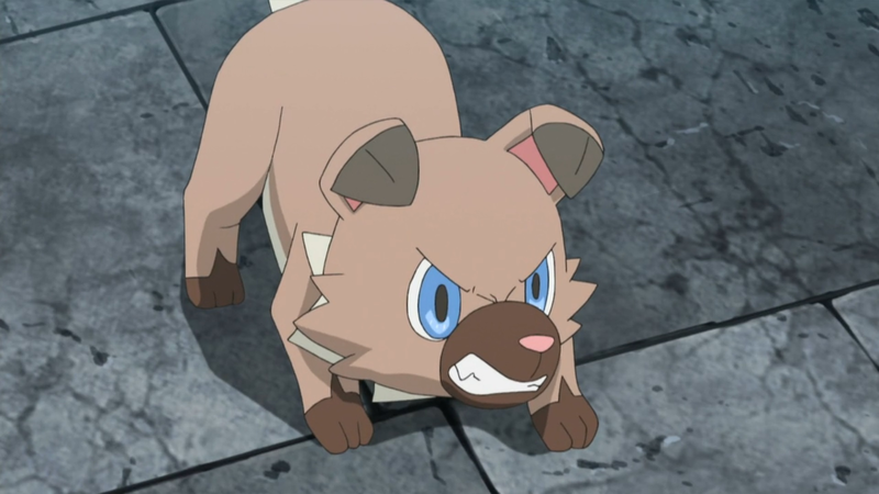 File:Ash Rockruff angry.png