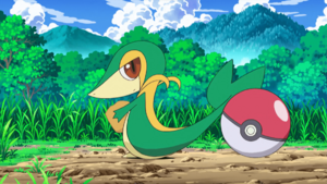 Ash Snivy debut.png