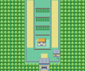 Kanto Route 5 FRLG.png
