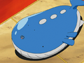 Meowth Wailord.png